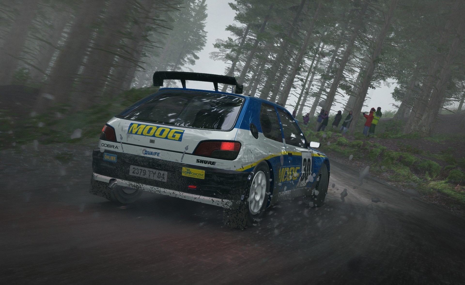 DiRT Rally - Imagen 29